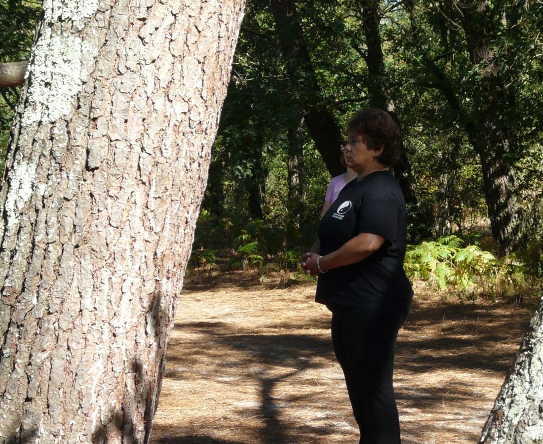 Agnès Feugas, recueillie, pendant une séance de Qi Gong en forêt